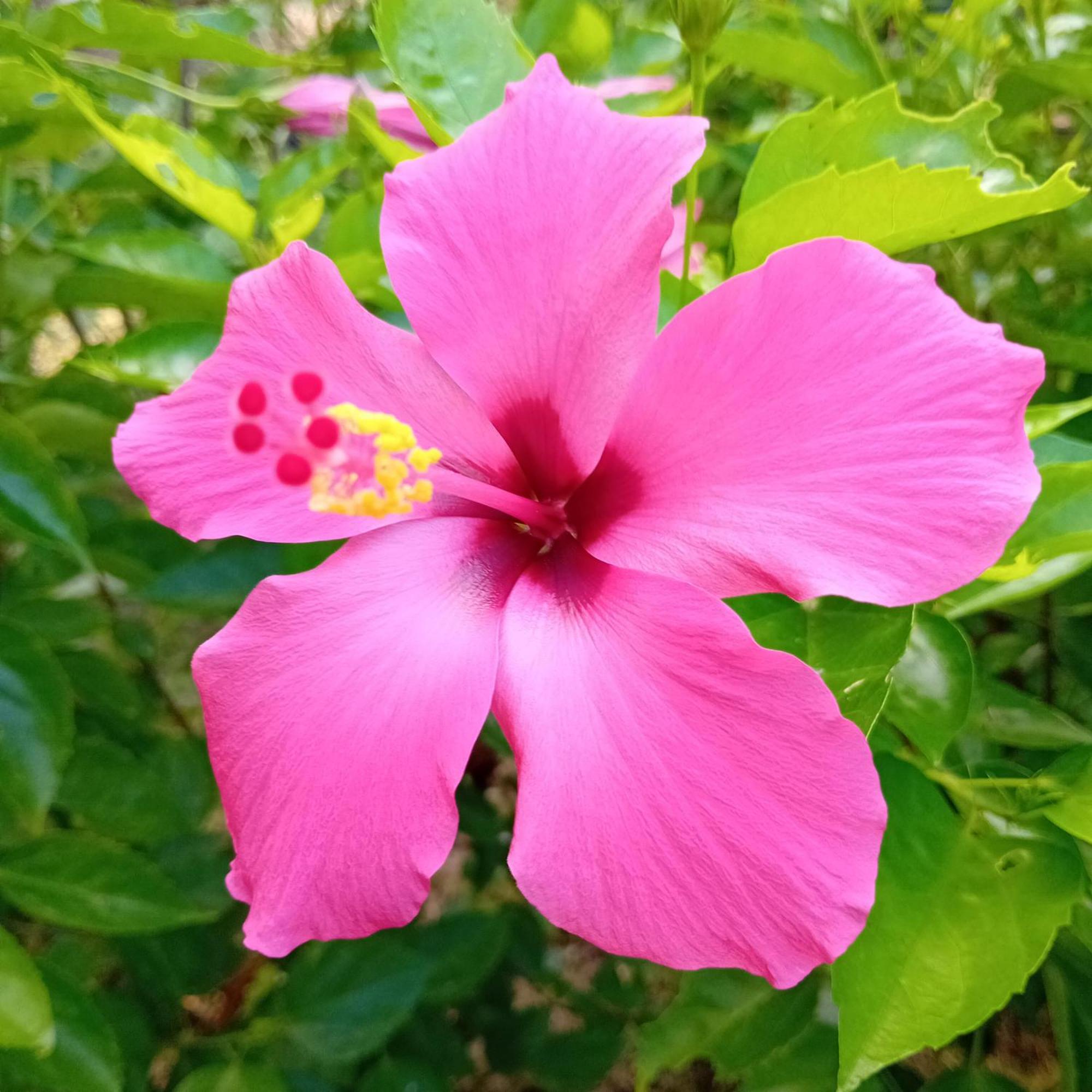 Budi Sun Resort เมาเมเร ภายนอก รูปภาพ